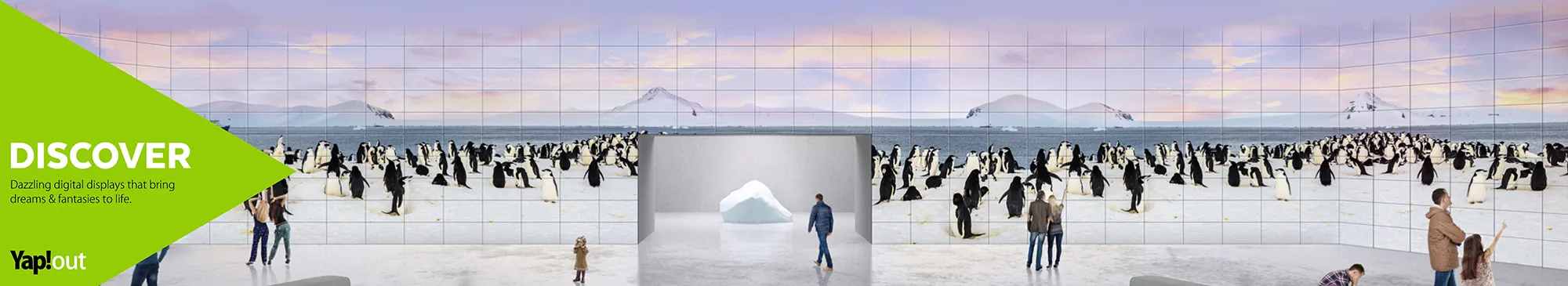 Yap!out Discover: a curved video wall of penguins on the ice, with visitors walking through